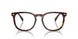 613773 - Tortoise - Brown