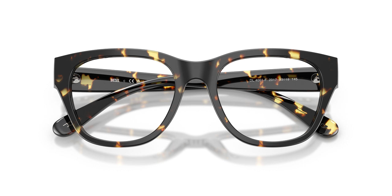 2017 - Tortoise