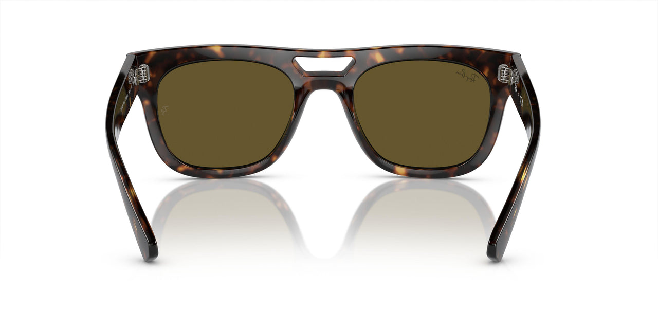 135973 - Tortoise - Dark Brown