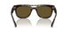 135973 - Tortoise - Dark Brown