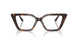 5026 - Tortoise