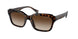 500313 - Brown - Gradient Brown