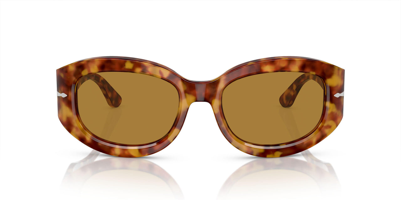 106/53 - Tortoise - Brown