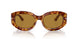 106/53 - Tortoise - Brown