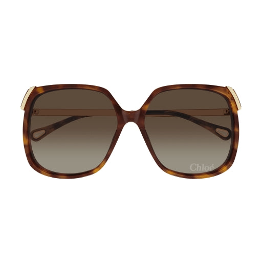 002 - Havana/Gold - Brown