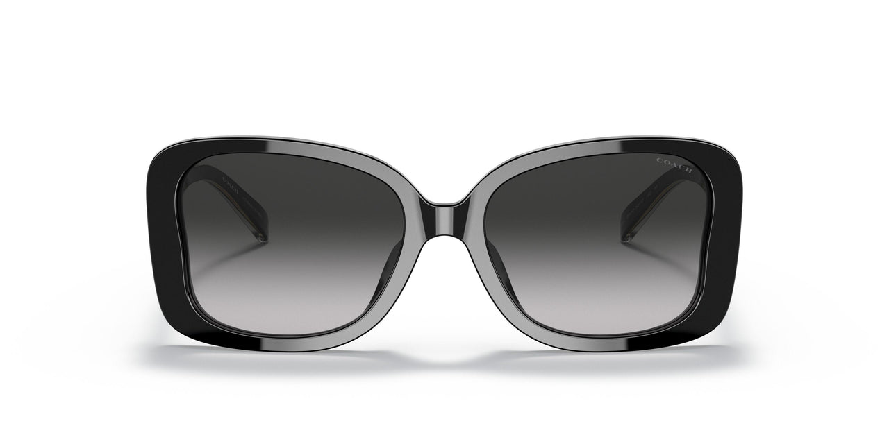 50023C - Black - Grey Gradient