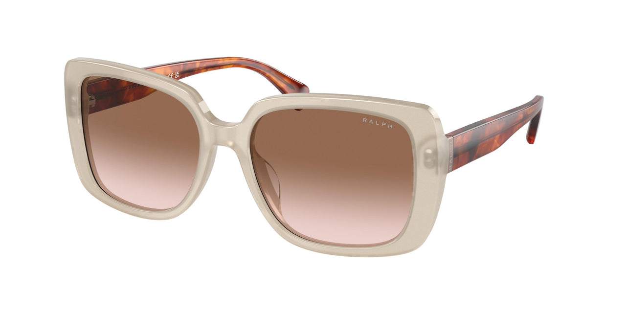 606113 - Brown - Gradient Brown