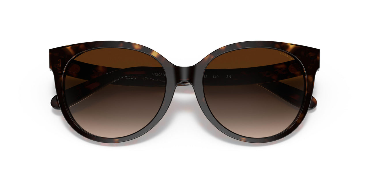 51203B - Havana - Brown Gradient