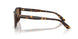 502/73 - Tortoise - Dark Brown