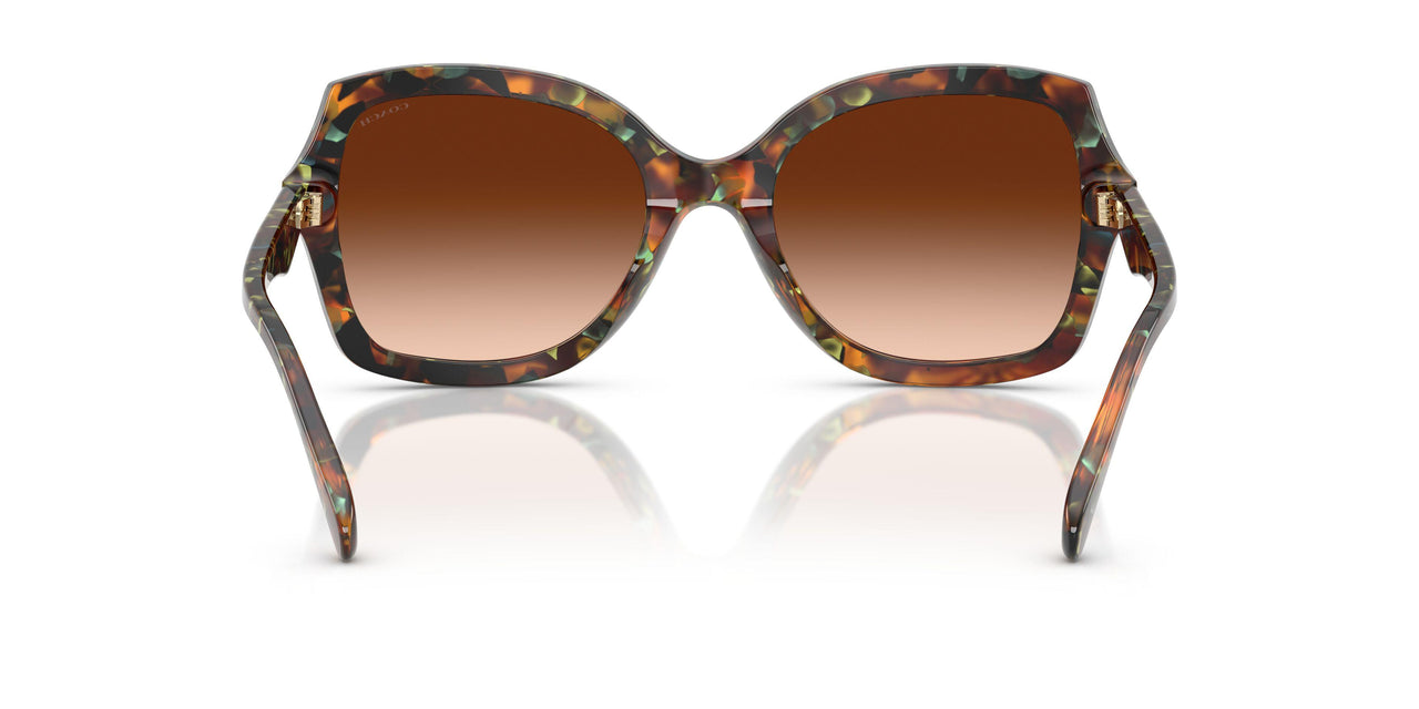 584474 - Brown - Brown Gradient
