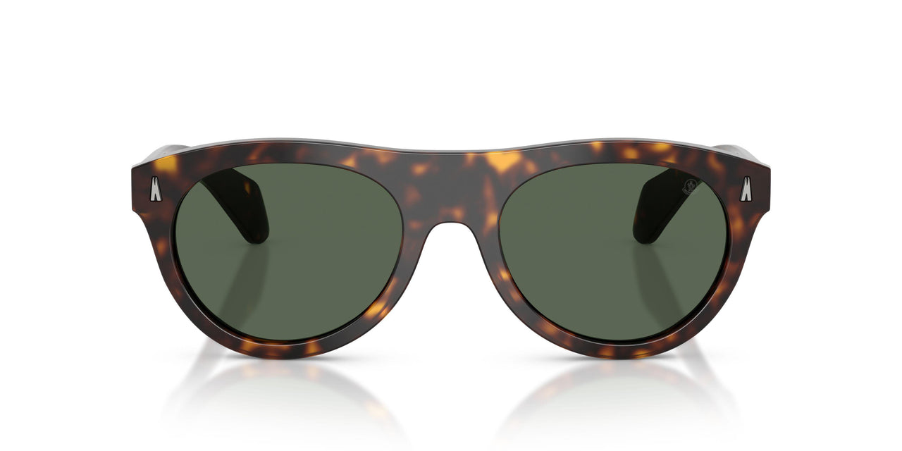 300271 - Tortoise - Solid Dark Green
