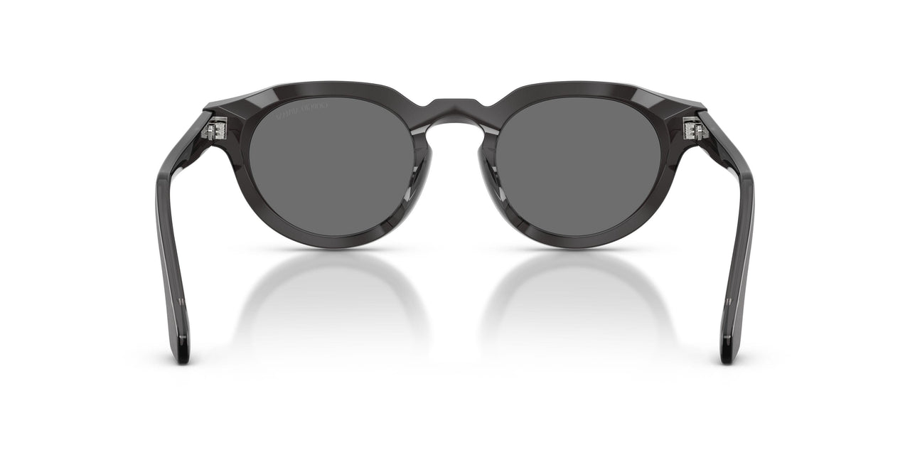 639587 - Tortoise - Grey
