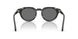 639587 - Tortoise - Grey
