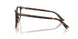 5002 - Tortoise
