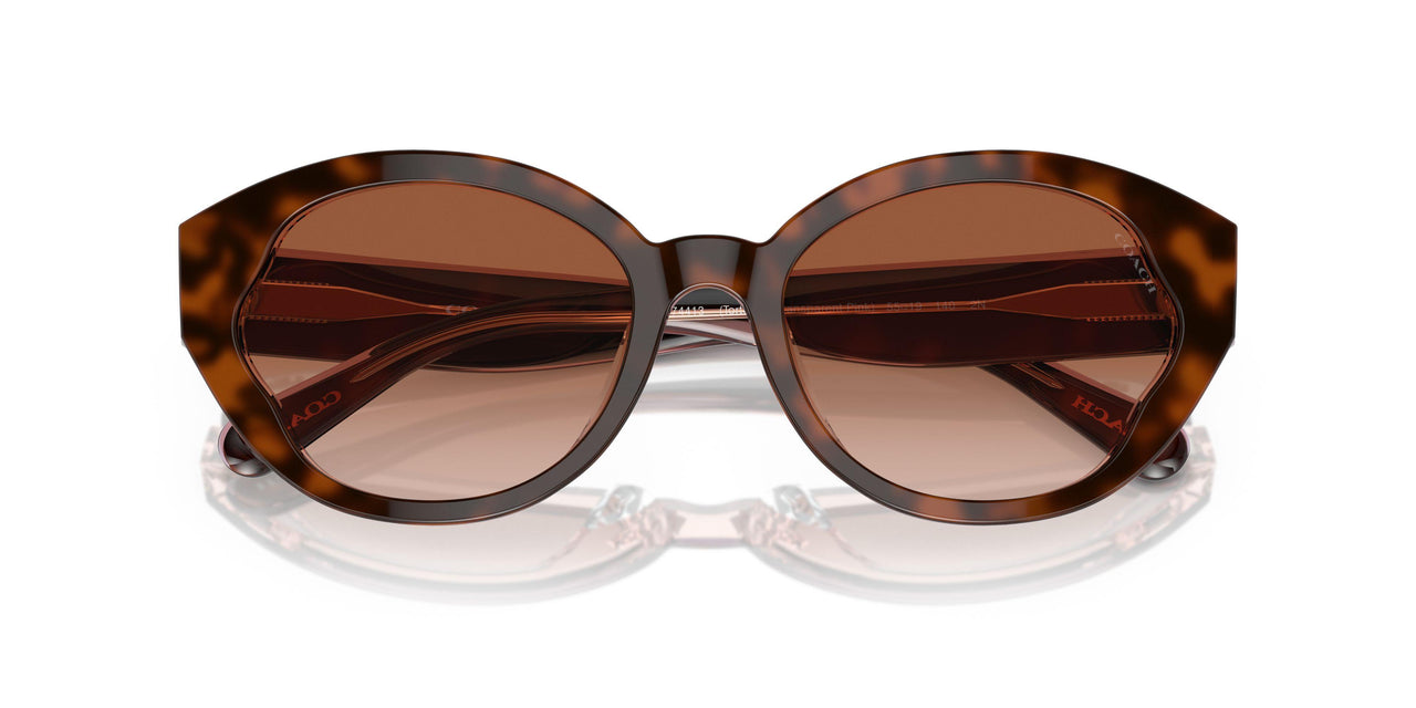 574413 - Tortoise - Brown Pink Gradient