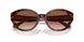574413 - Tortoise - Brown Pink Gradient