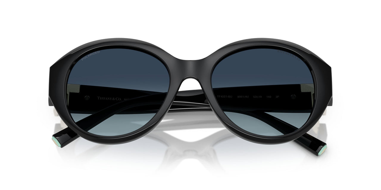 80014U - Black - Blue Gradient Polar