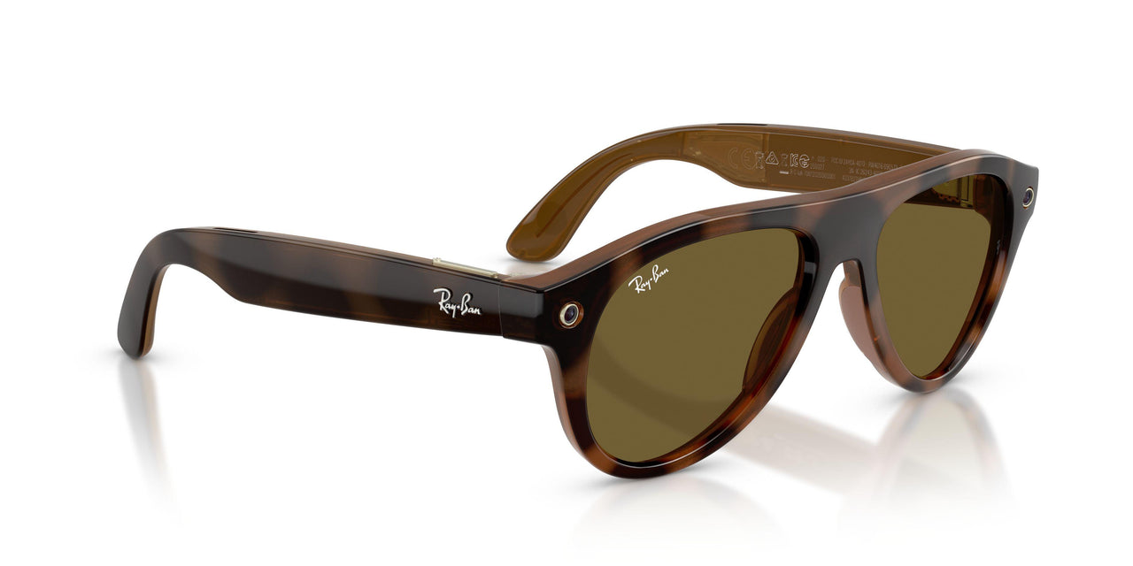 690573 - Tortoise - Dark Brown