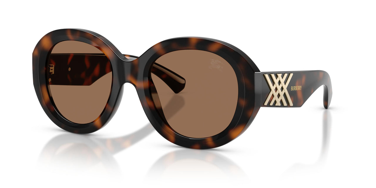 300273 - Tortoise - Brown