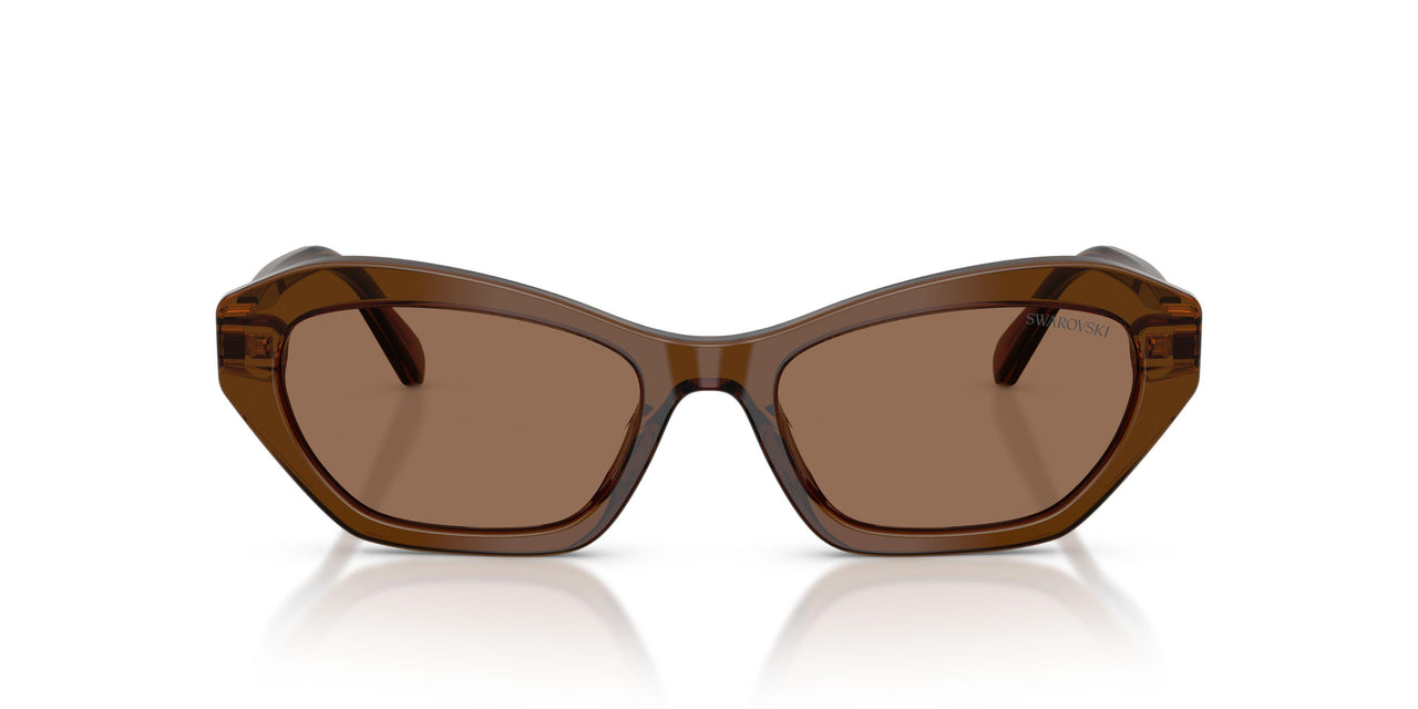 108473 - Brown - Dark Brown