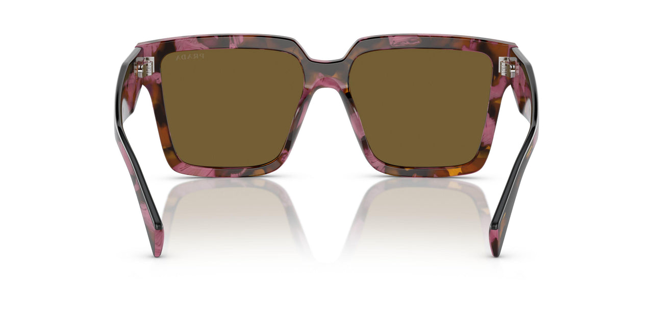 18N01T - Brown - Dark Brown