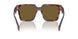 18N01T - Brown - Dark Brown