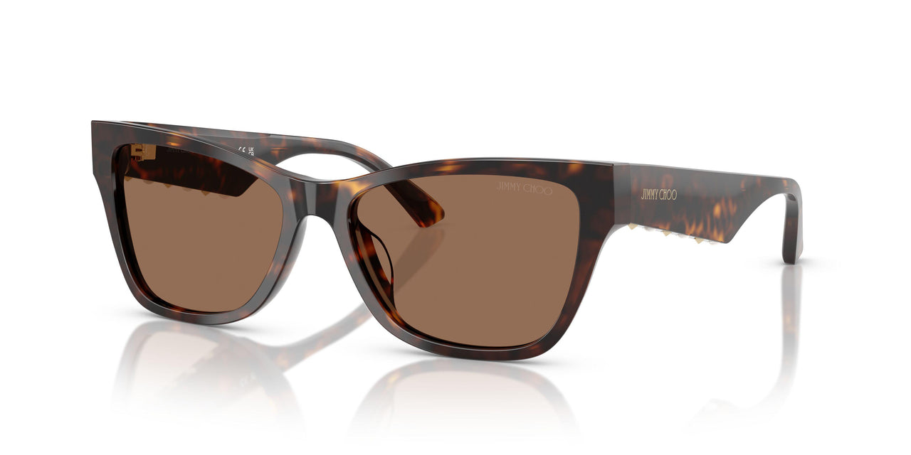 500273 - Tortoise - Dark Brown