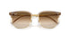 691851 - Brown - Clear Gradient Brown