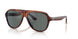 1721W5 - Brown - Regal Blue