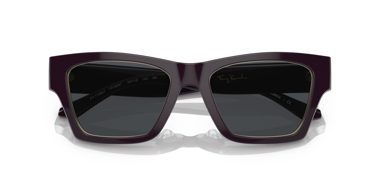 191987 - Purple/reddish - Solid Grey