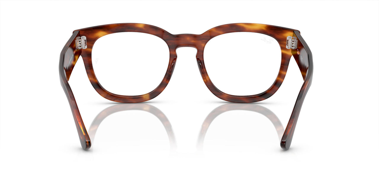 2144 - Brown - Clear