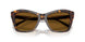 500283 - Tortoise - Dark Brown Polarized