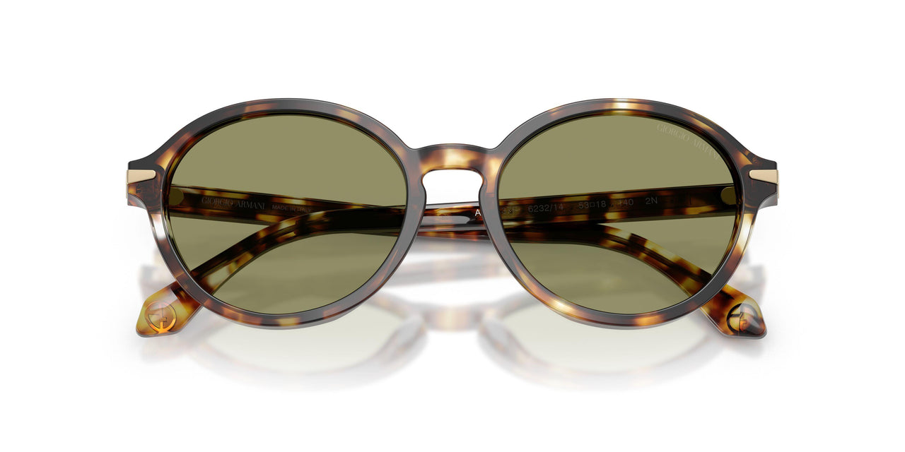 623214 - Tortoise - Green