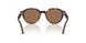 502673 - Tortoise - Dark Brown