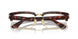 24/GG - Tortoise - Transitions Clear To Sapphire