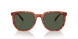 577482 - Tortoise - Green