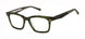 Ted Baker TM020 Eyeglasses