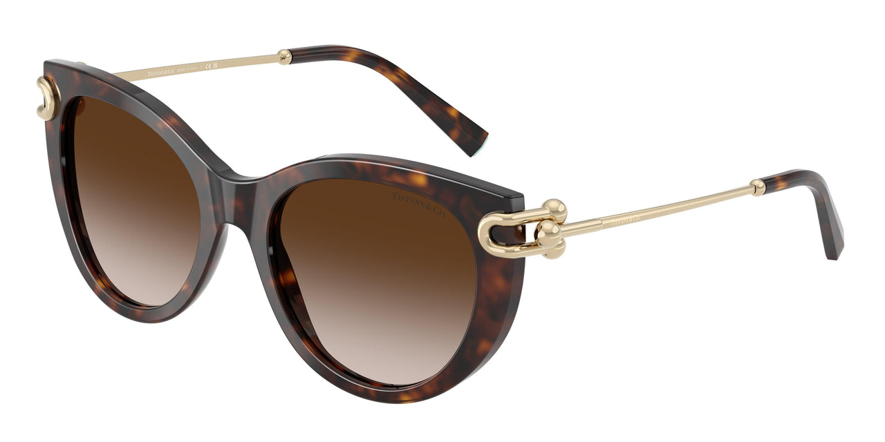 80153B - Tortoise - Brown Gradient