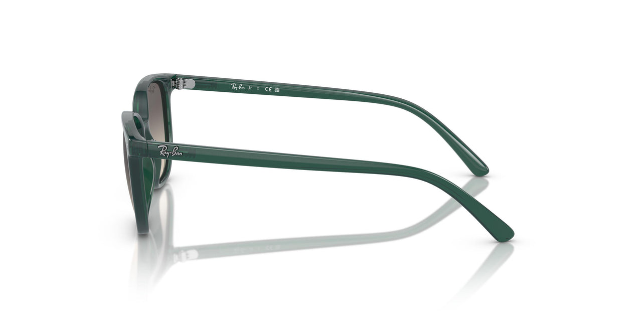 713011 - Green - Grey