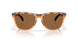 950308 - Brown - Prizm Bronze