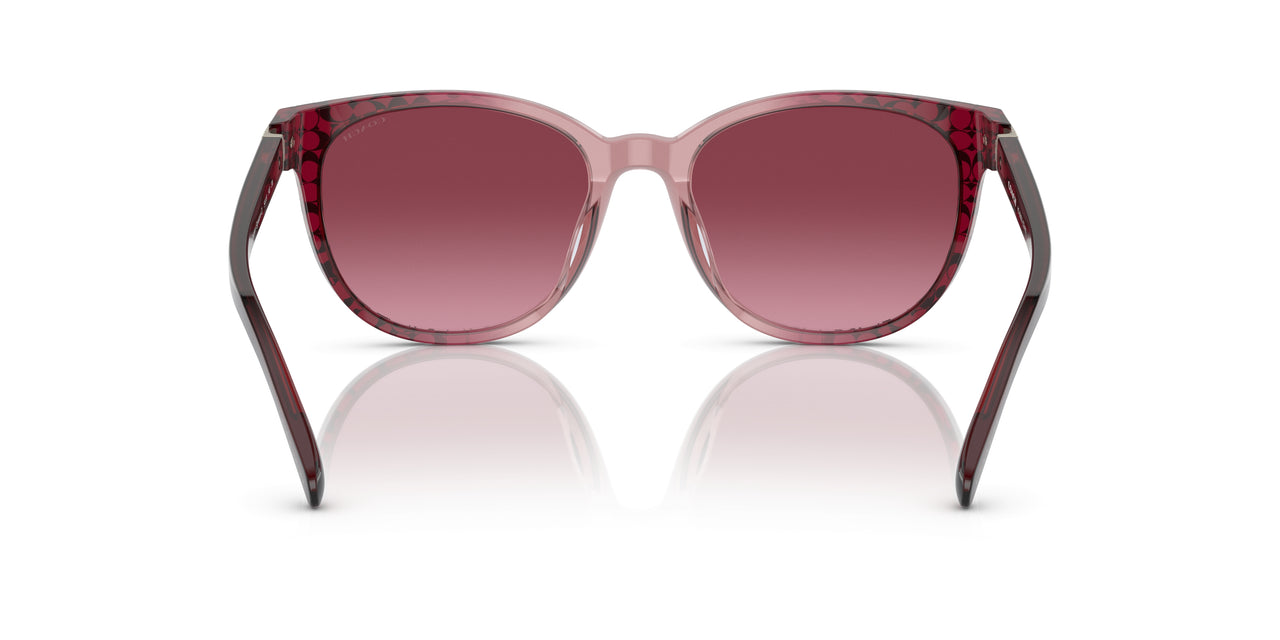 57098H - Purple/reddish - Violet Pink Gradient