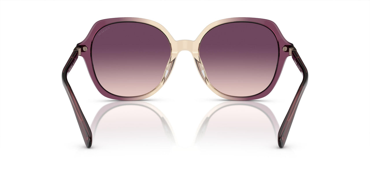 57737W - Multicolor - Purple Gradient