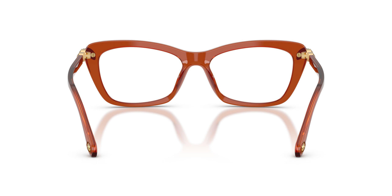 1112 - Brown