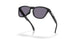 950306 - Black - Prizm Grey
