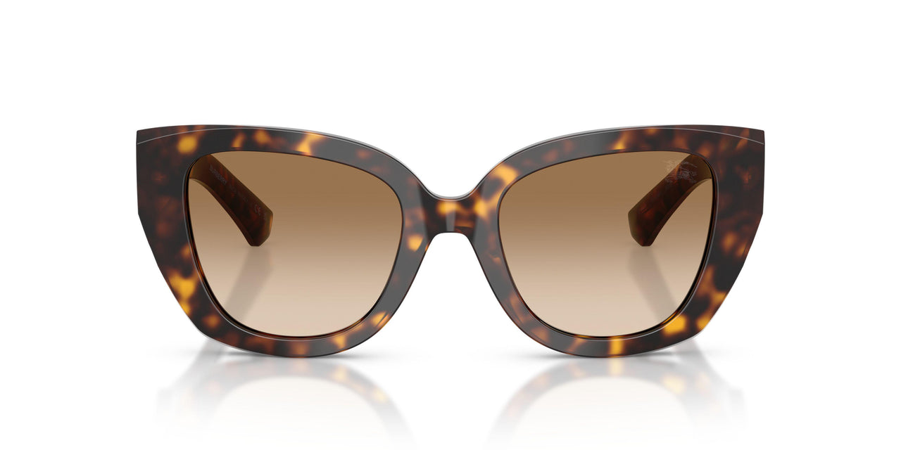 300289 - Brown - Brown Gradient