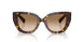 300289 - Brown - Brown Gradient