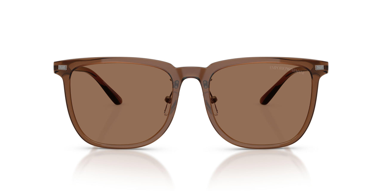 628273 - Brown - Dark Brown