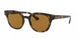 647551 - Yellow Light Havana - Clear Gradient Brown
