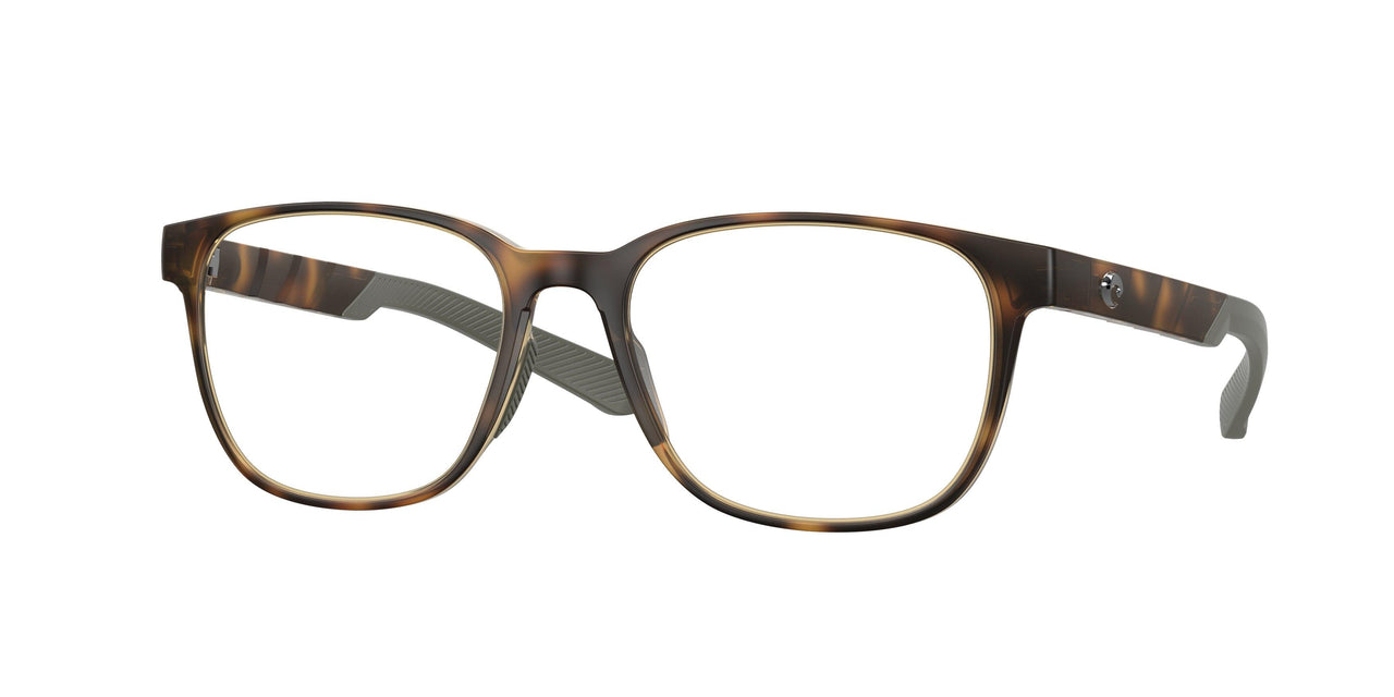 802202 - Tortoise