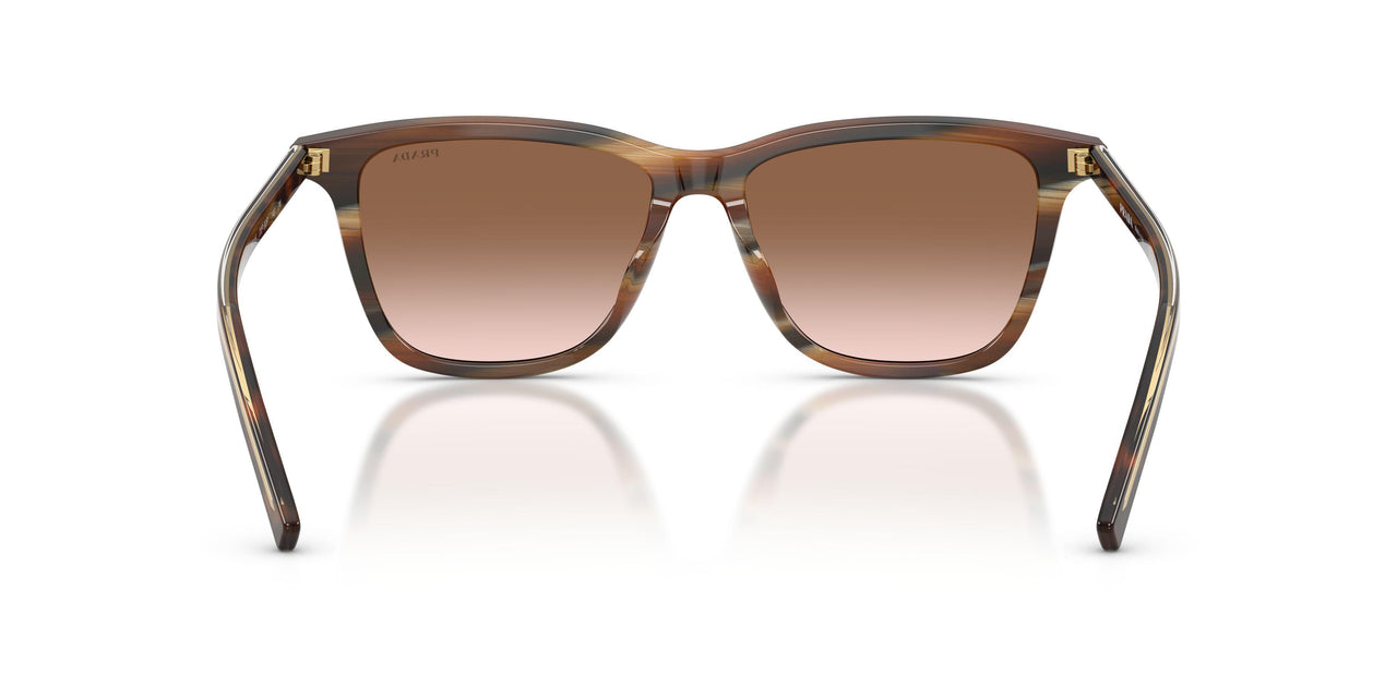 20P90P - Tortoise - Brown Gradient